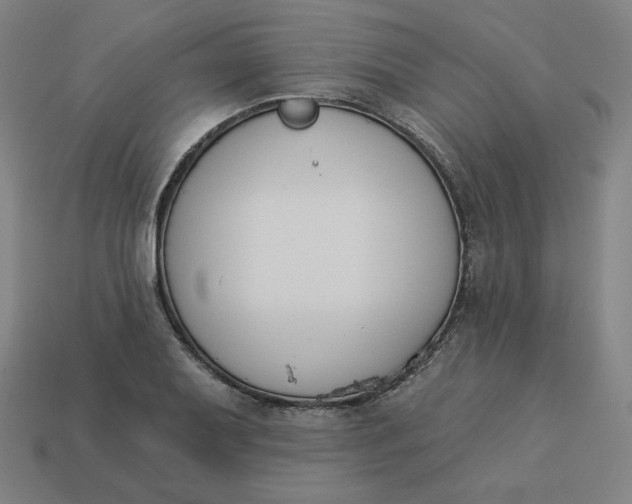 X0000113361079200910061035