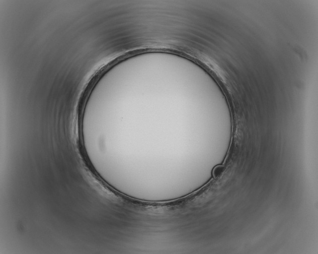 X0000113361080200910061035