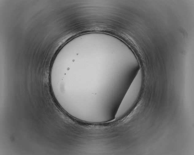 X0000113361081200910061035