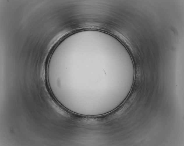 X0000113361082200910061035