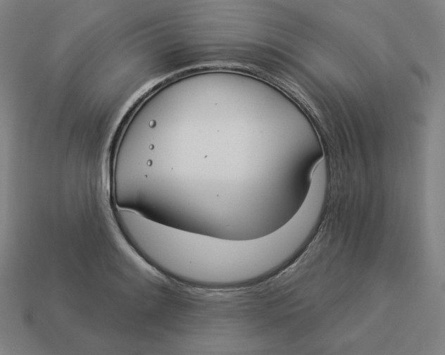 X0000113361084200910061035