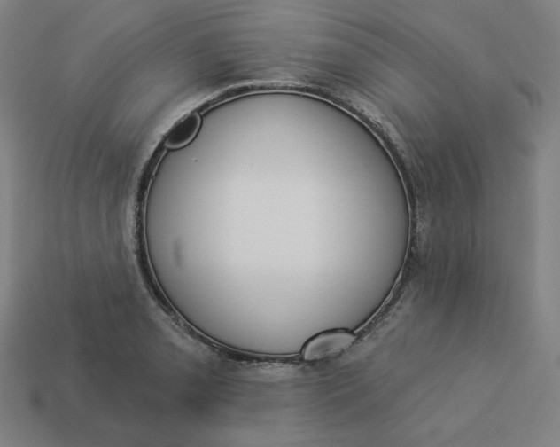 X0000113361085200910061035