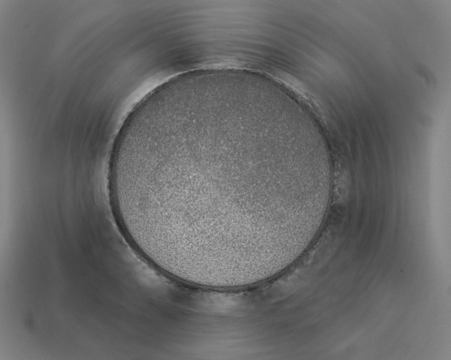 X0000113361086200910061035