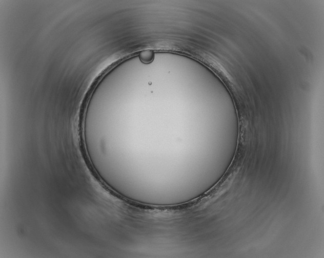 X0000113361087200910061035