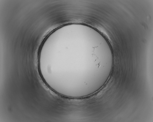 X0000113361088200910061035