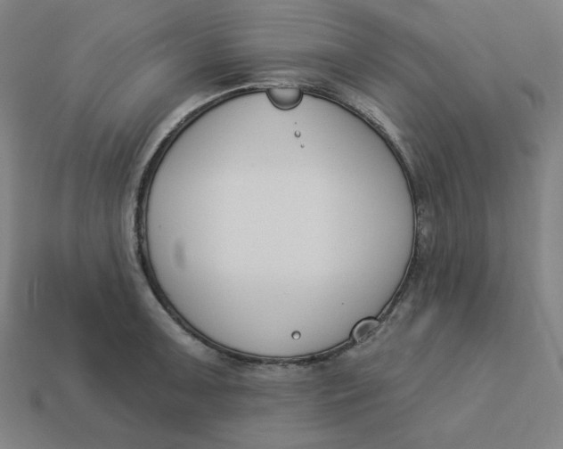 X0000113361091200910061035