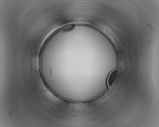 X0000113361092200910061035