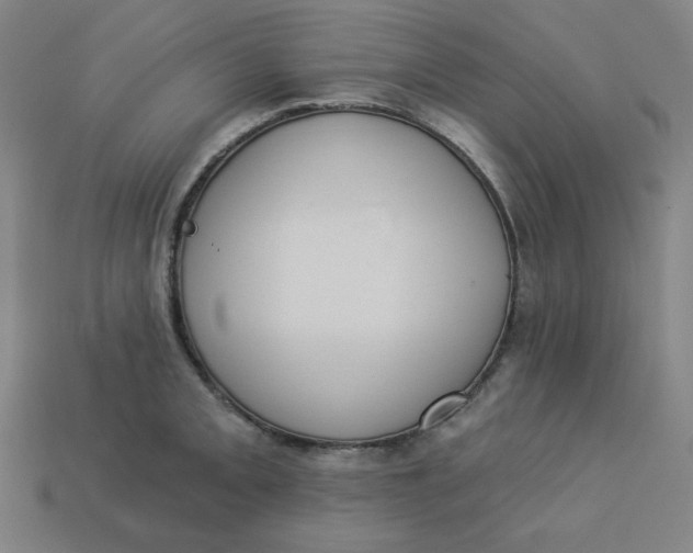 X0000113361093200910061035