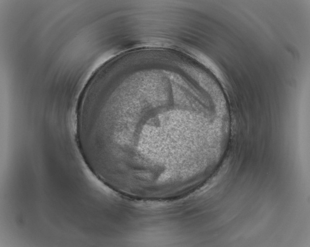 X0000113361095200910061035