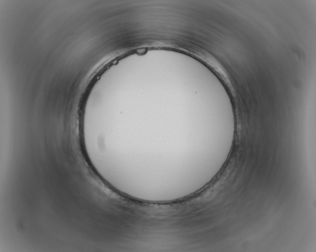 X0000113361096200910061035