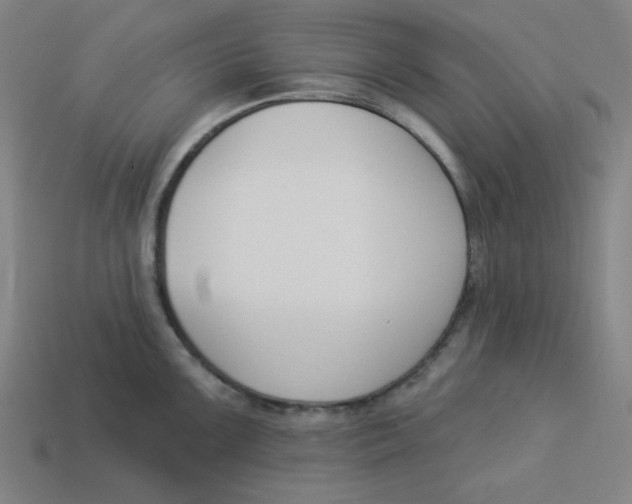 X0000113361099200910061034