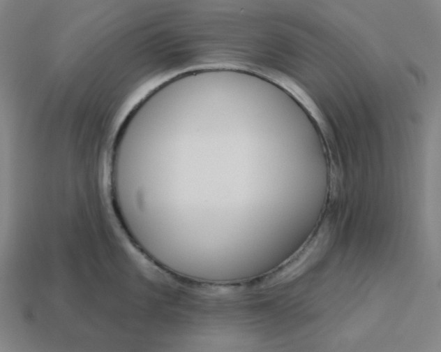 X0000113361101200910061034