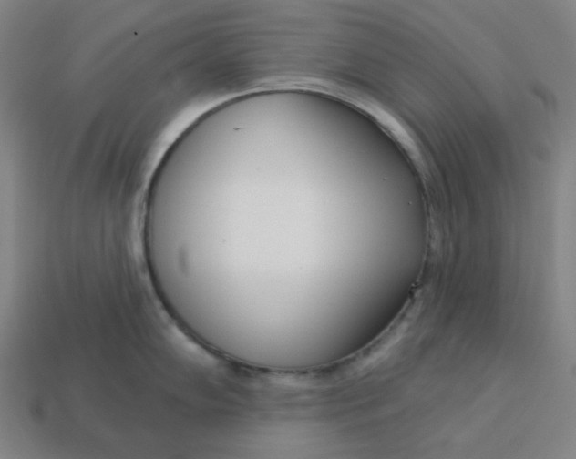 X0000113361102200910061034