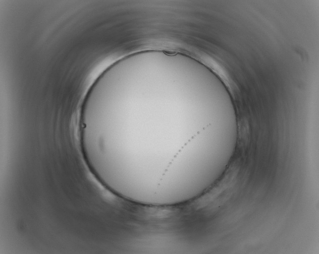 X0000113361103200910061034