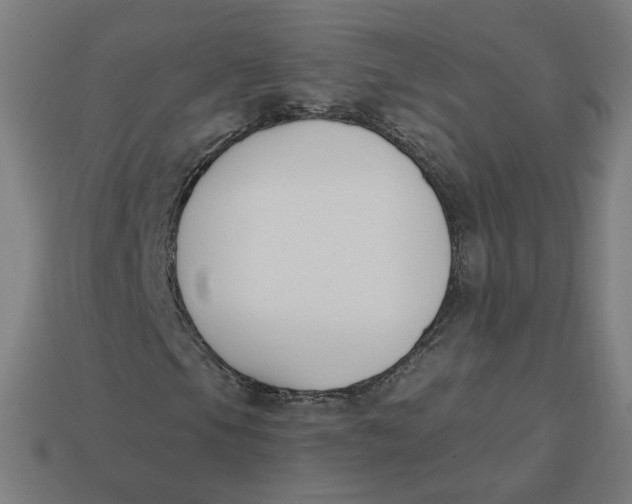 X0000113361105200910061034