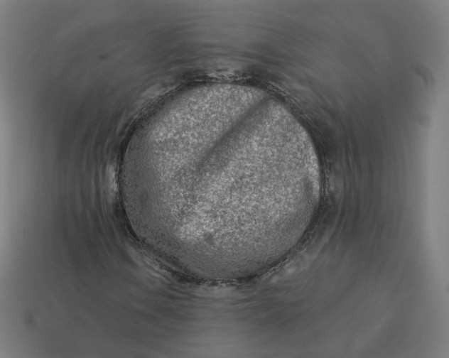 X0000113361106200910061034