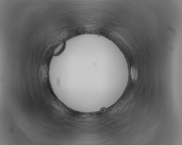 X0000113361107200910061034