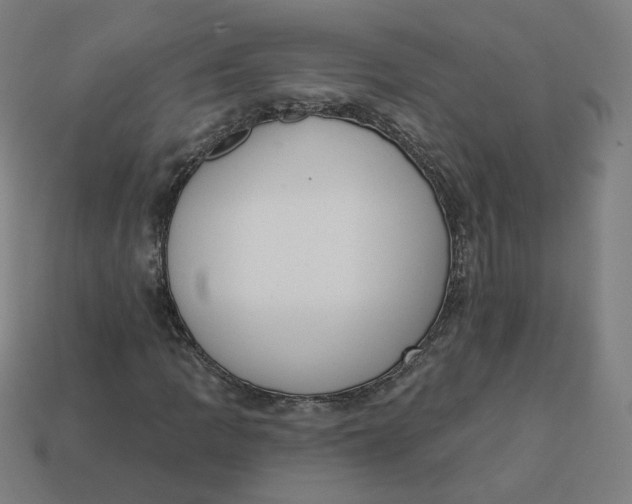 X0000113361109200910061034