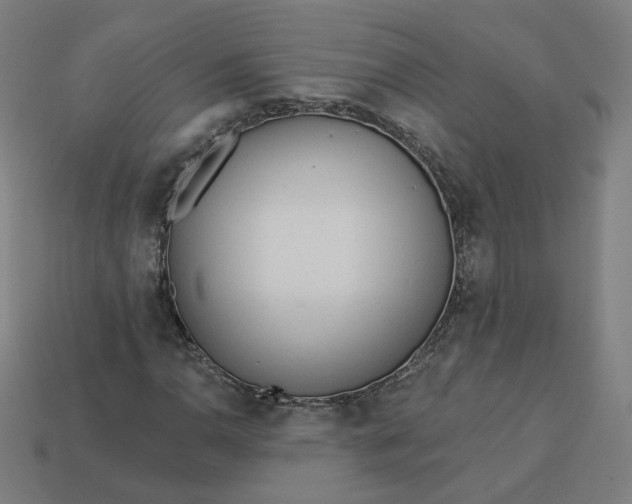 X0000113361110200910061034