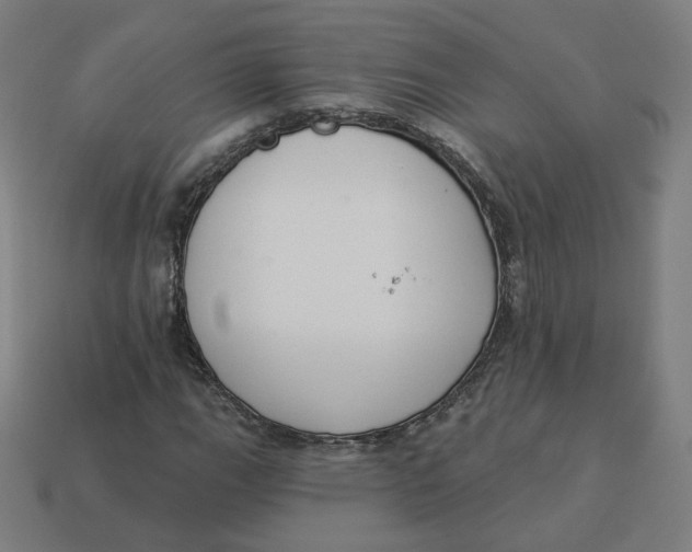 X0000113361111200910061034