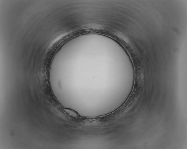 X0000113361112200910061034