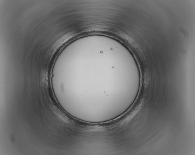 X0000113361113200910061034