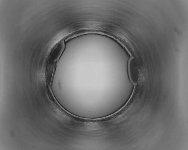 X0000113361114200910061034