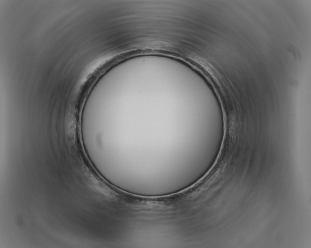 X0000113361115200910061034