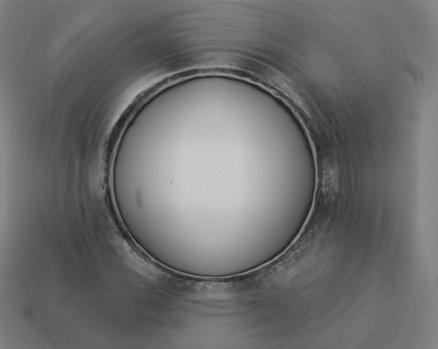 X0000113361116200910061034