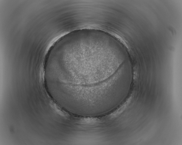 X0000113361117200910061034