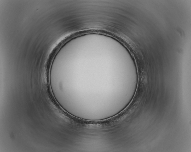 X0000113361118200910061034