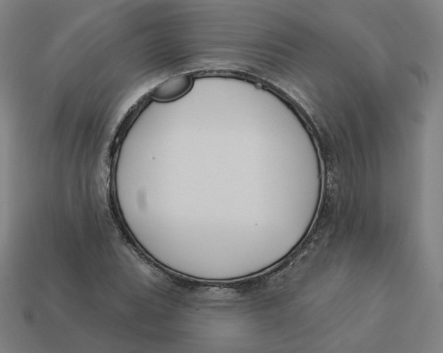 X0000113361119200910061034