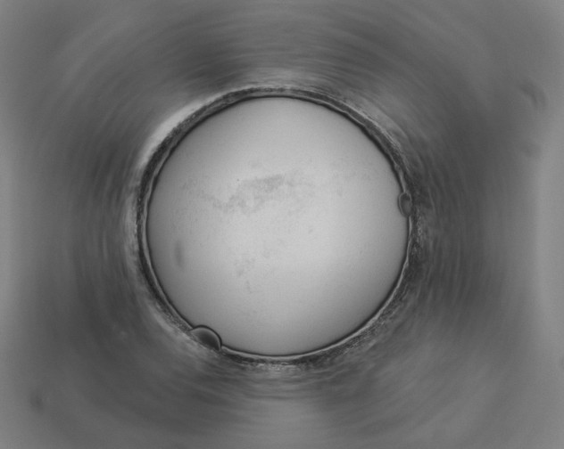 X0000113361120200910061034