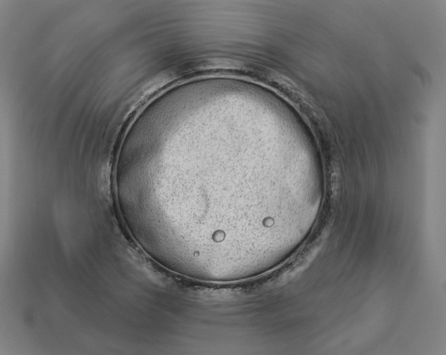 X0000113361121200910061034