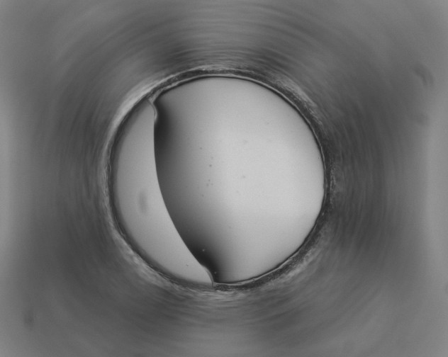 X0000113361122200910061034