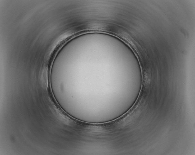 X0000113361123200910061034