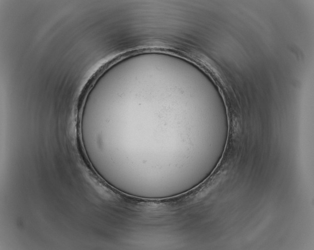 X0000113361124200910061034