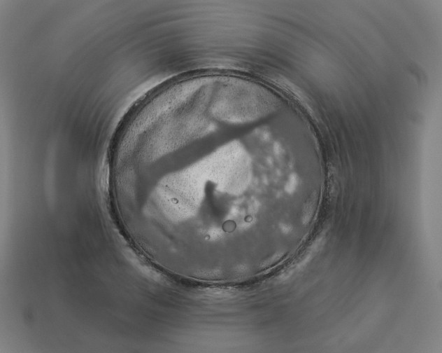 X0000113361125200910061034