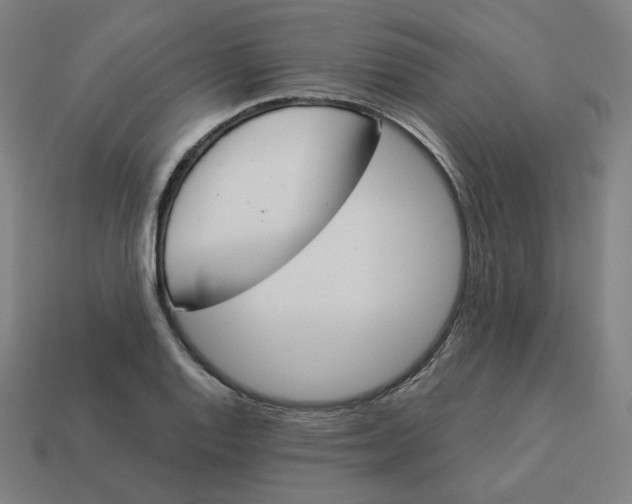 X0000113361128200910061034