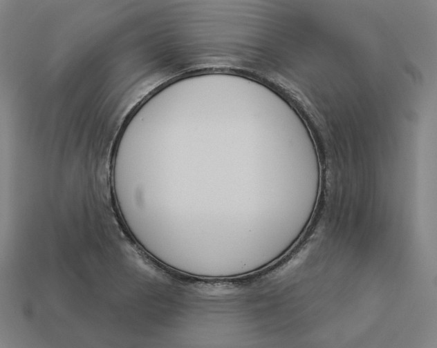 X0000113361129200910061034