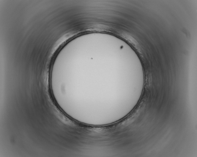 X0000113361130200910061034