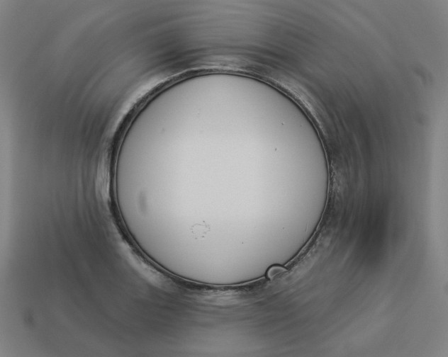 X0000113361131200910061034