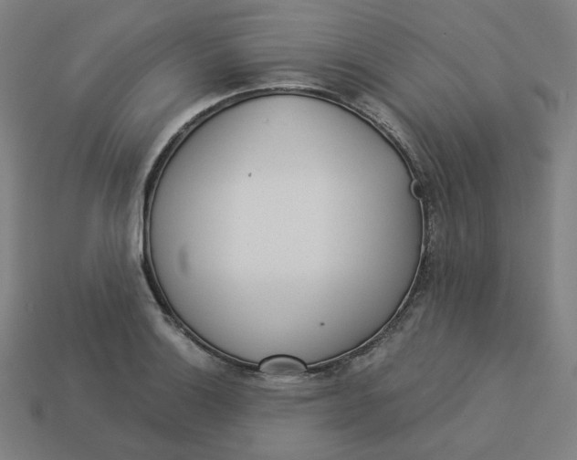 X0000113361132200910061034