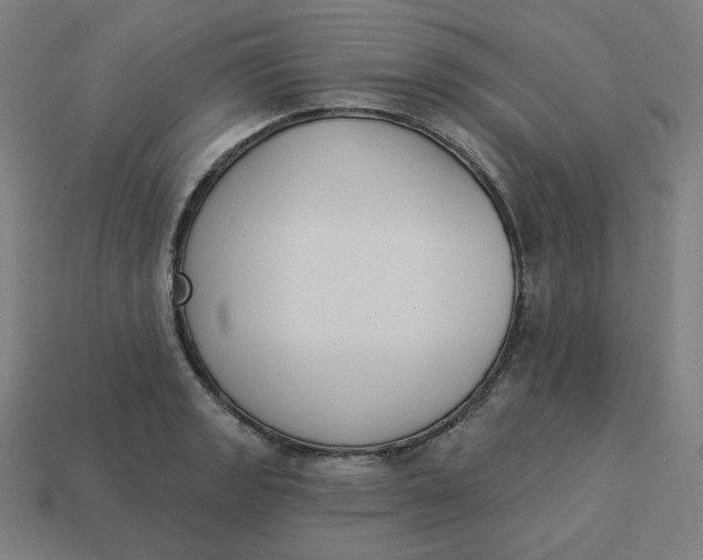 X0000113361133200910061034