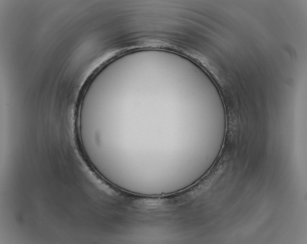 X0000113361134200910061034