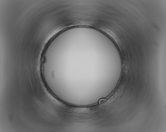 X0000113361135200910061034