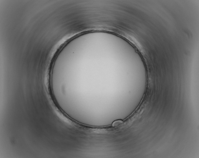 X0000113361136200910061034