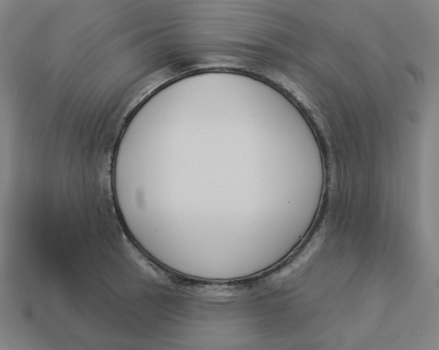 X0000113361137200910061034