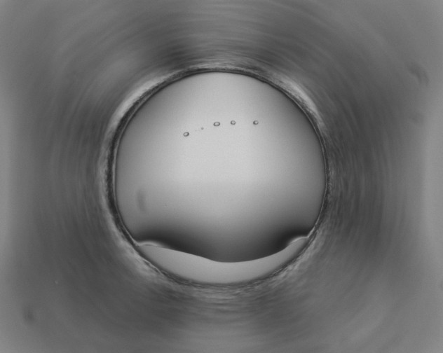 X0000113361138200910061034