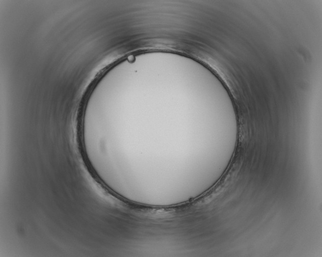 X0000113361139200910061034